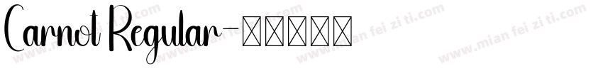 Carnot Regular字体转换